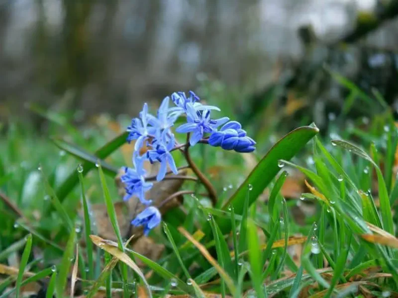 Національний природний парк "Тузлівські лимани"