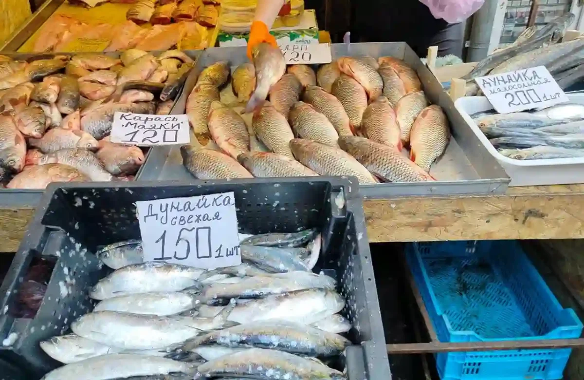 Дунайка на Привозі