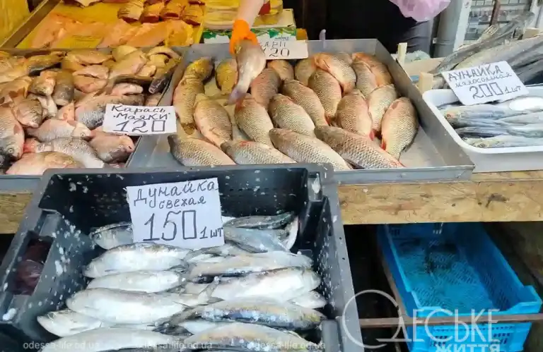 Дунайка на Привозі