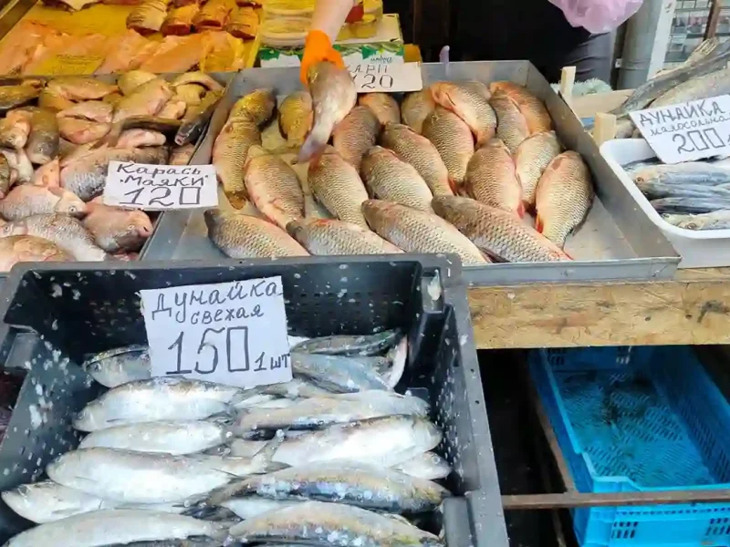 Дунайка на Привозі