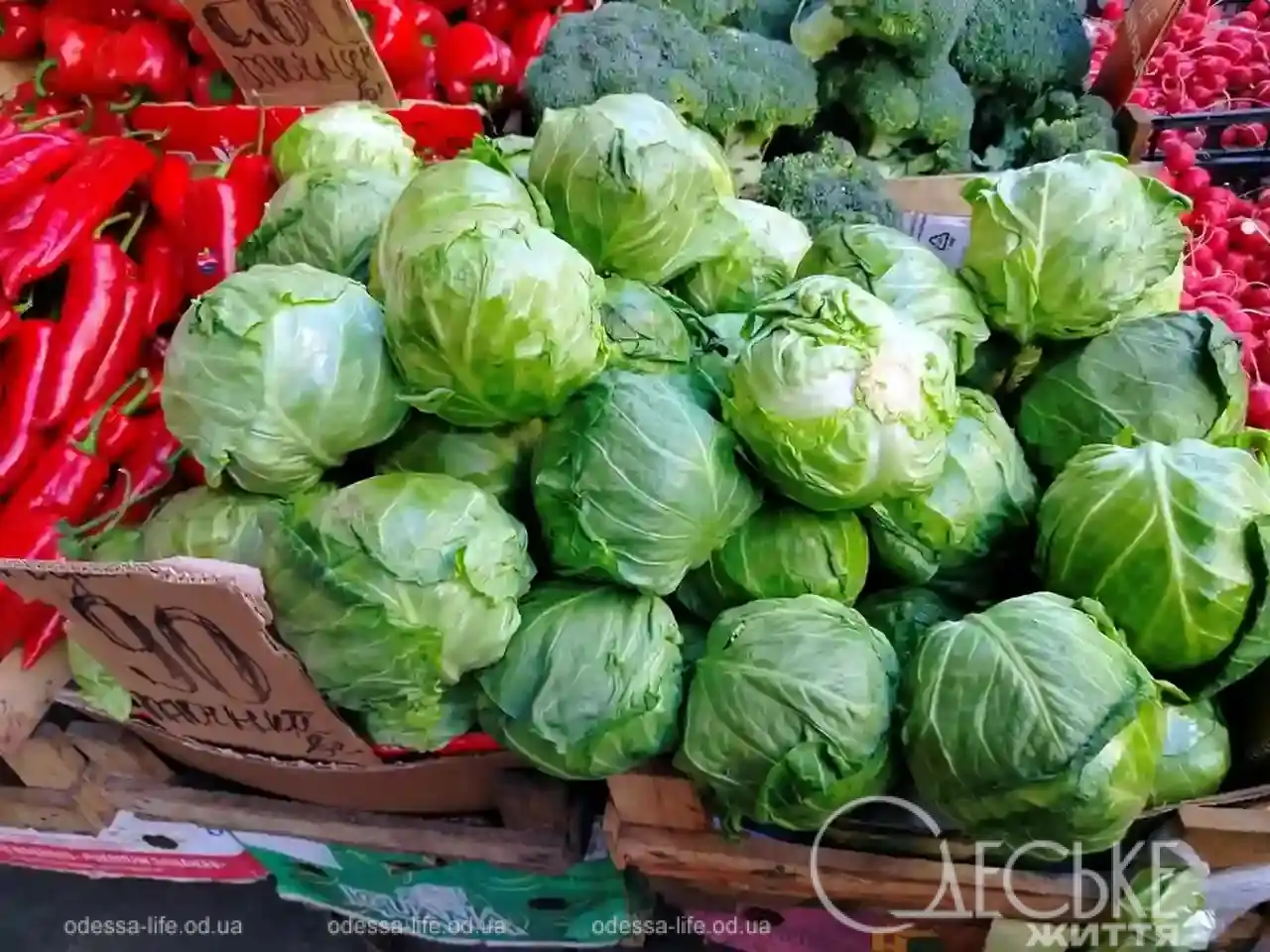 Привоз наприкінці березня