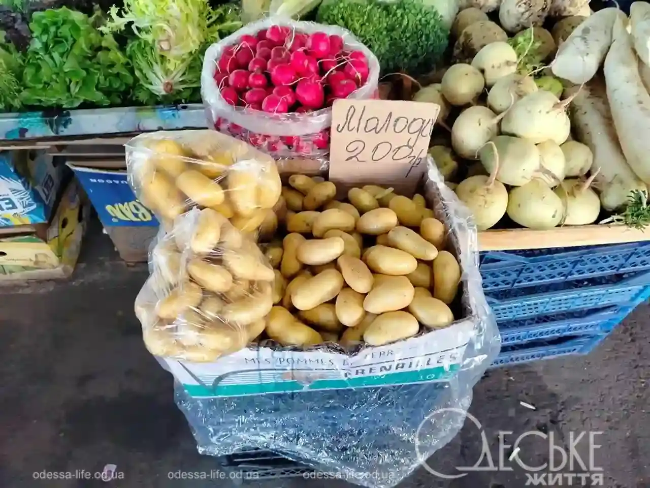 Привоз наприкінці березня