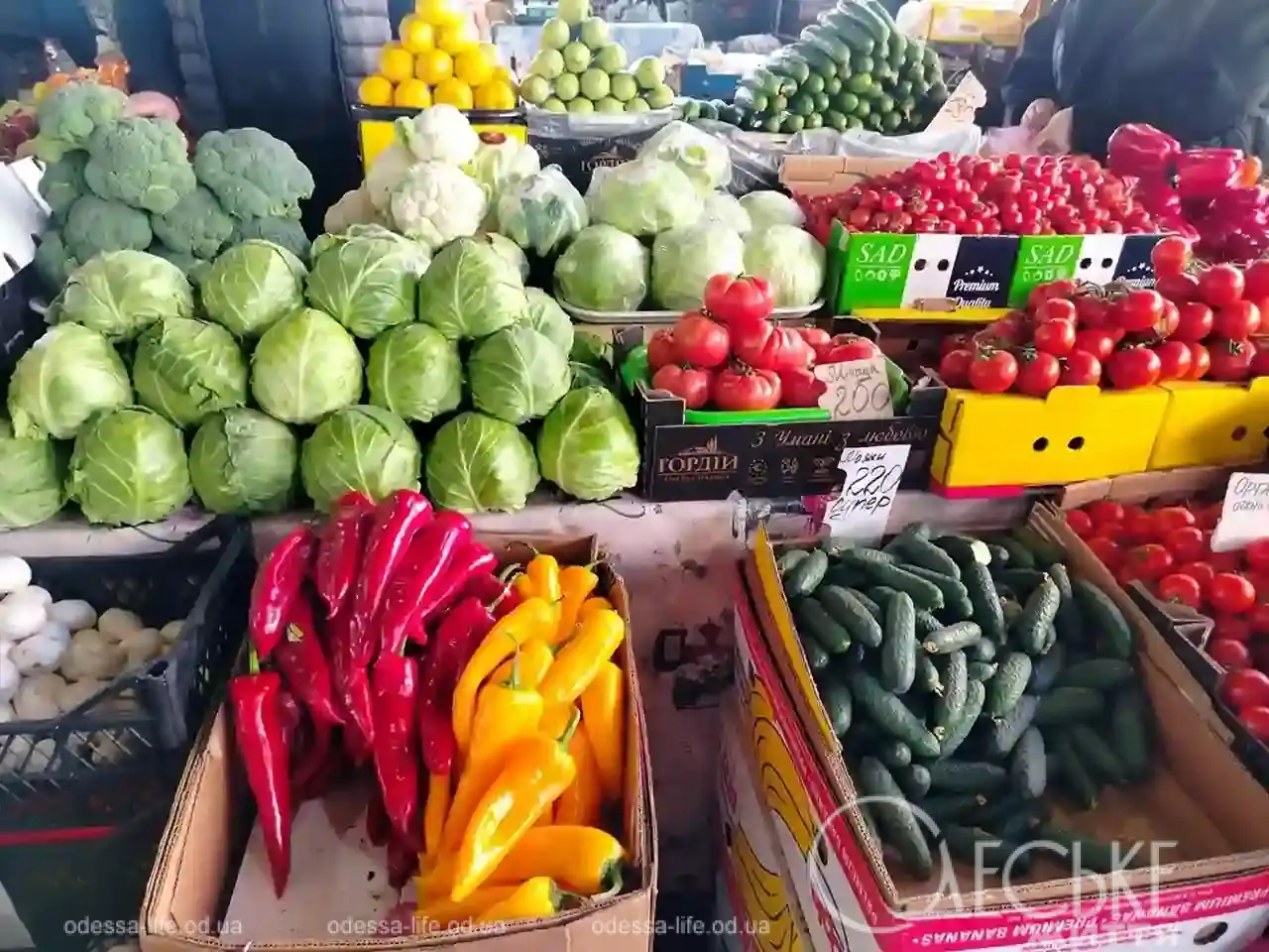 Привоз наприкінці березня