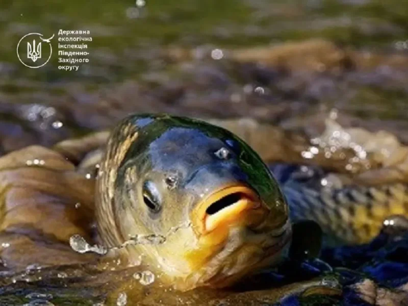 Заборона на рибалку в Одеській області