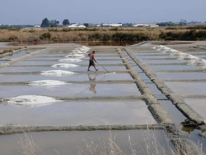 Соляріс для видобутку солі