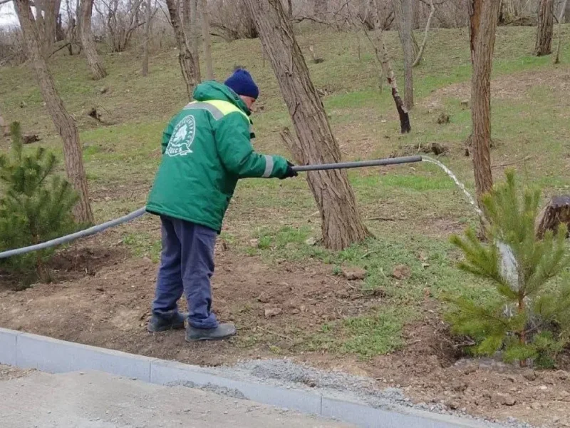 Озеленители КП «Горзелентрест» приступили к активному уходу за новыми насаждениями на побережье Одессы