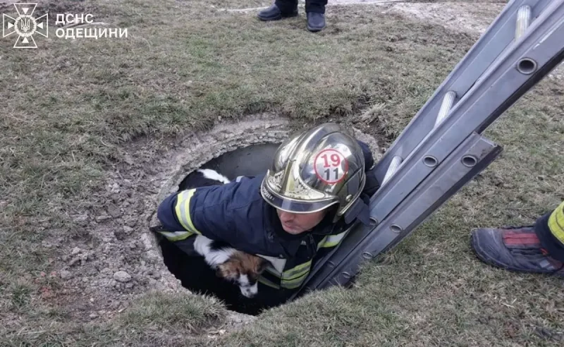 Спасение собаки из 5-метровой ямы в Березовском районе на Одесчине