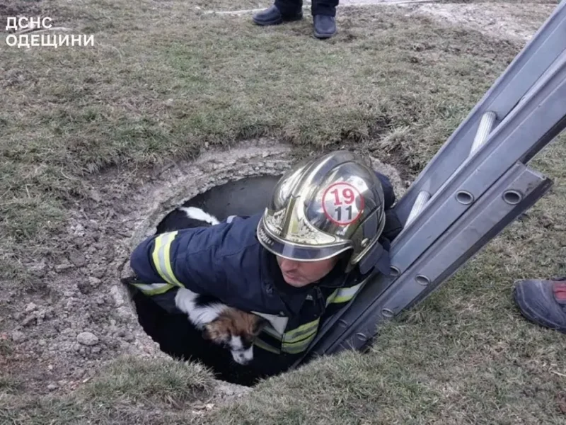 Спасение собаки из 5-метровой ямы в Березовском районе на Одесчине