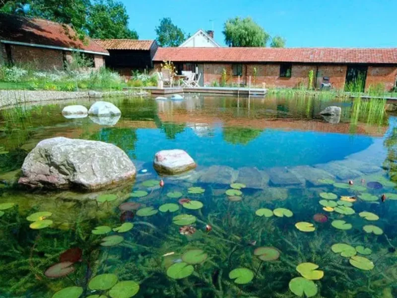 бактерії для очищення водойми