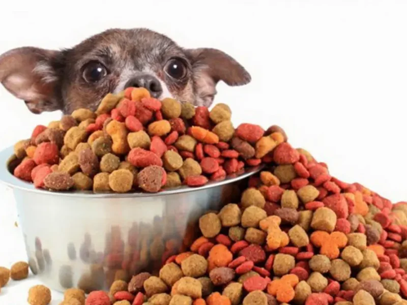 корм для собак