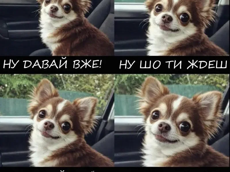 гумор про Великдень