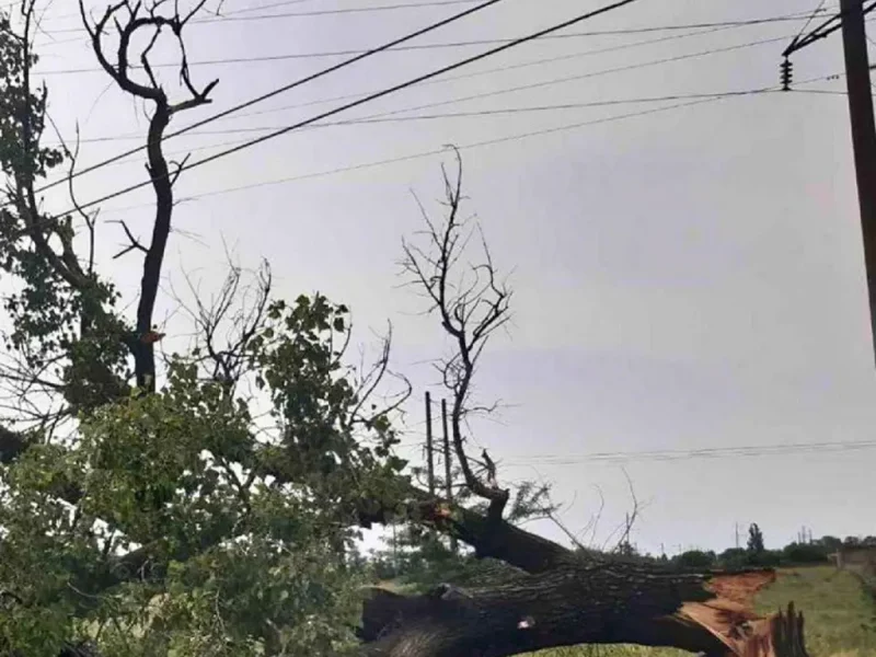Штормовой ветер повредил электросети в Одесской области