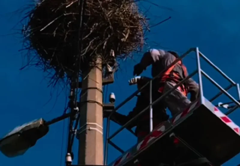 На Одесчине для птиц установили сотни защитных платформ.