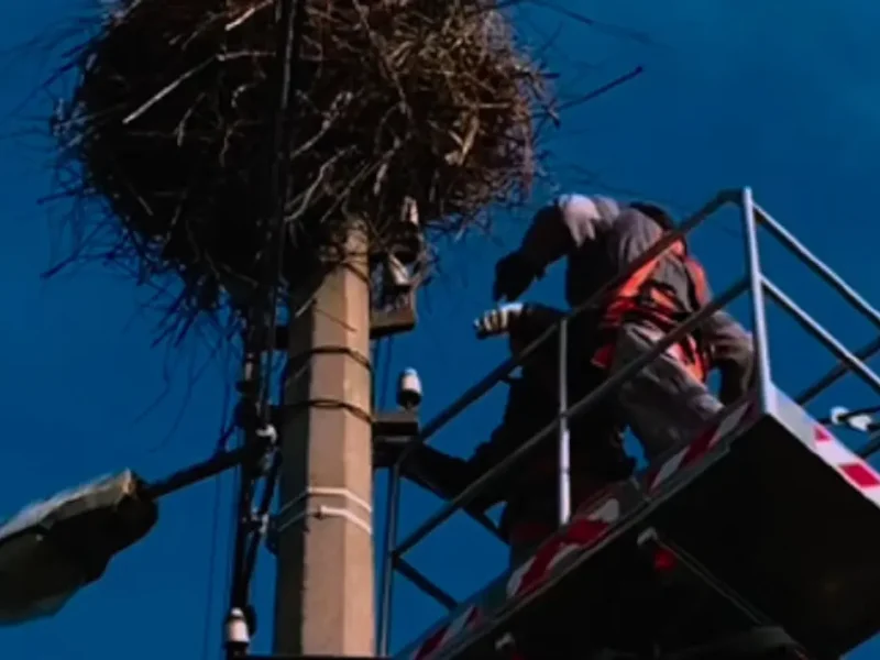 На Одесчине для птиц установили сотни защитных платформ.