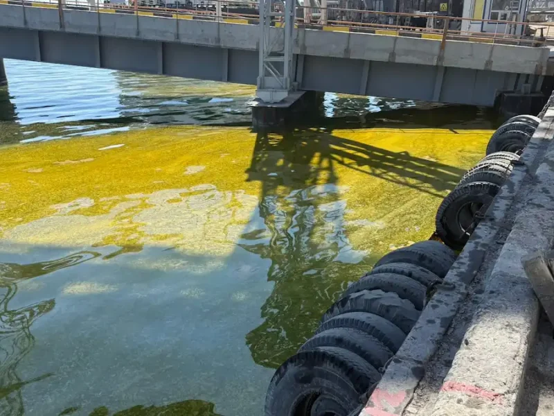 разлив масла в порту Черноморска