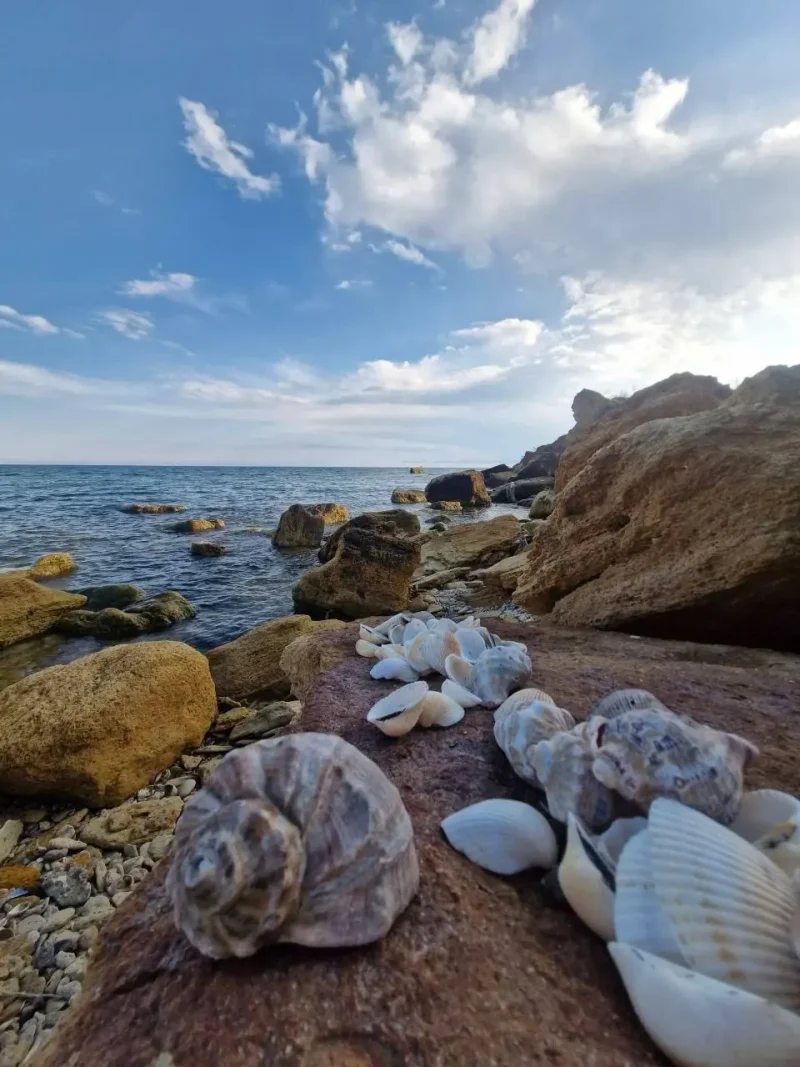 море