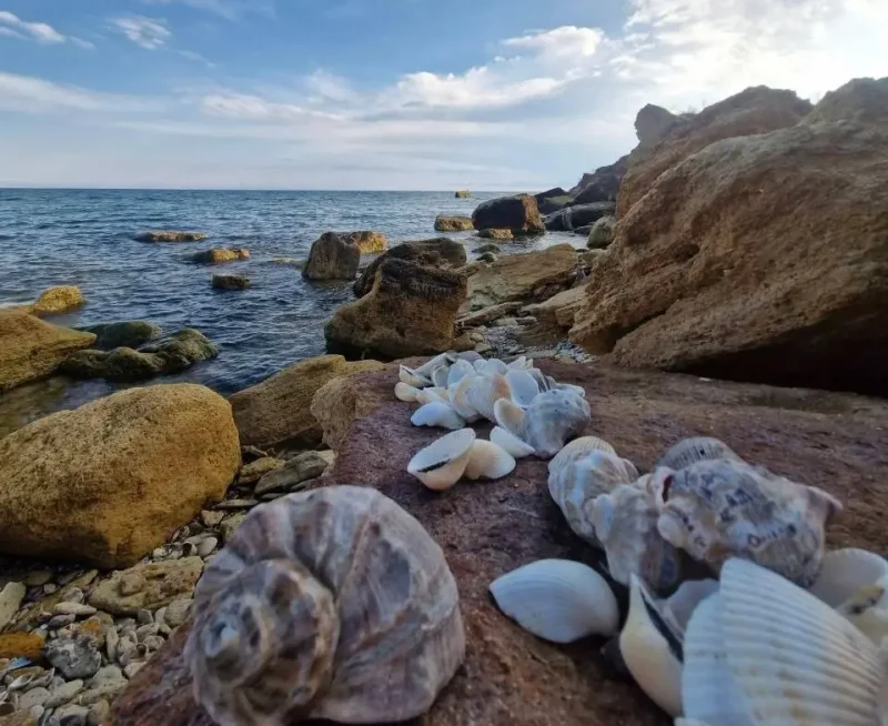 море