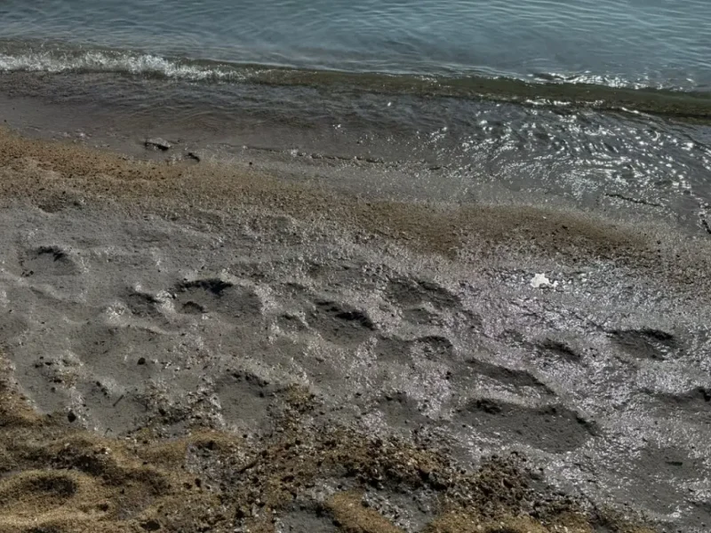 На одесском побережье