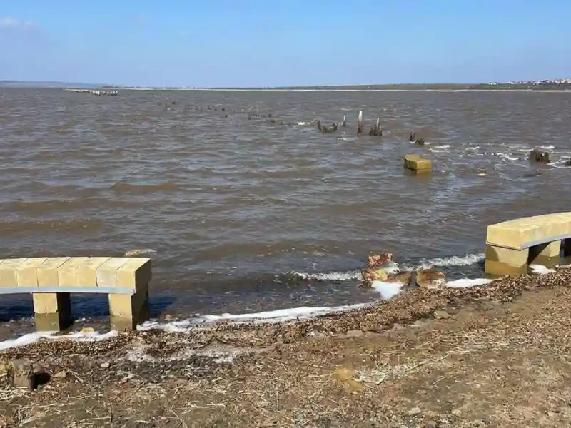 еколавки на куяльнику