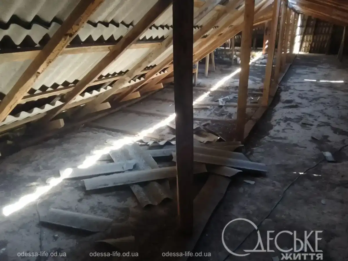 Ураган пройшовся Болградським районом: постраждав дитячий садок і лісосмуги (фото)