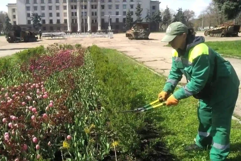 Озеленювачка працює на фоні спаленою російської техніки