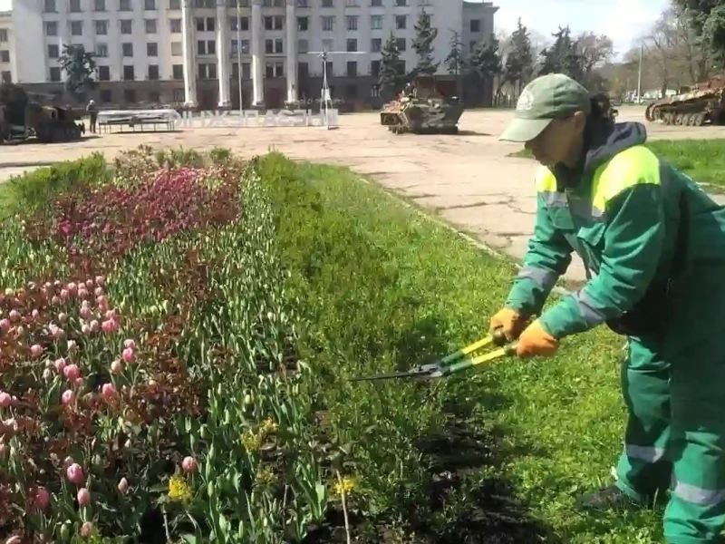 Озеленювачка працює на фоні спаленою російської техніки