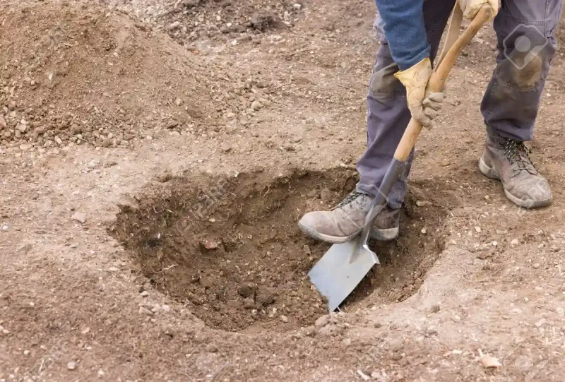 трудовая повинность