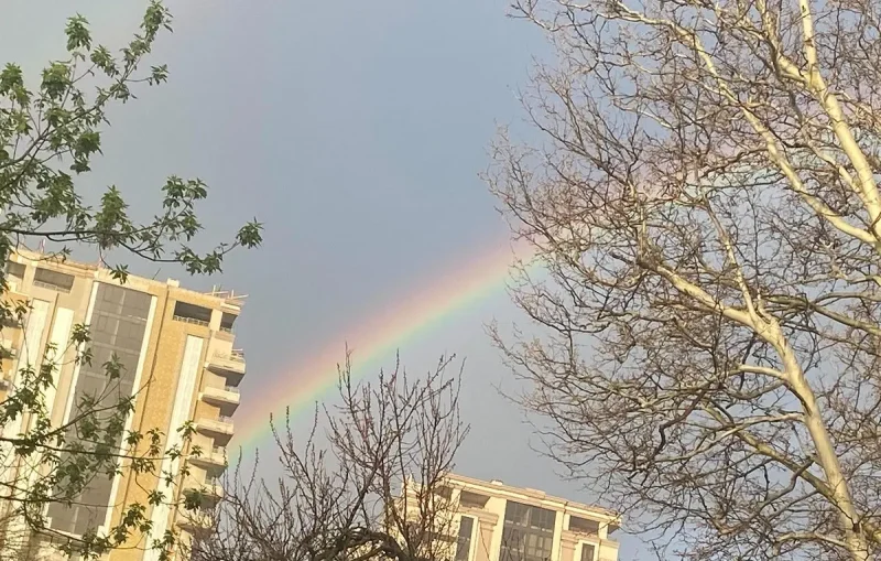Радуга на фоне весенних деревьев. Фото: «Одесская жизнь»