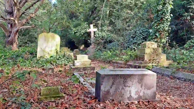 Старі могили