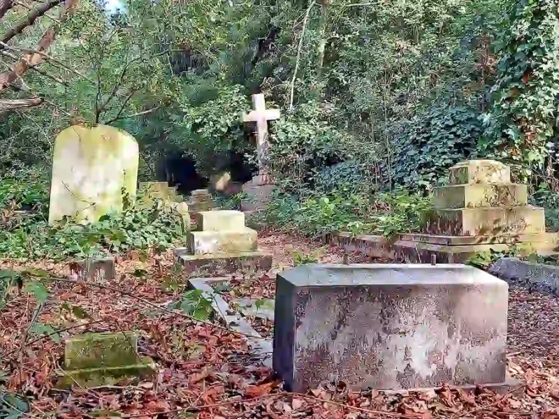 Старі могили