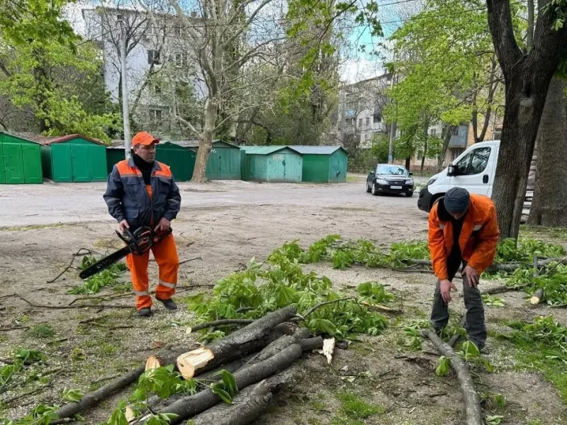 Штормовий вітер повалив в Одесі 37 дерев. Комунальні служби працюють у посиленому режимі.