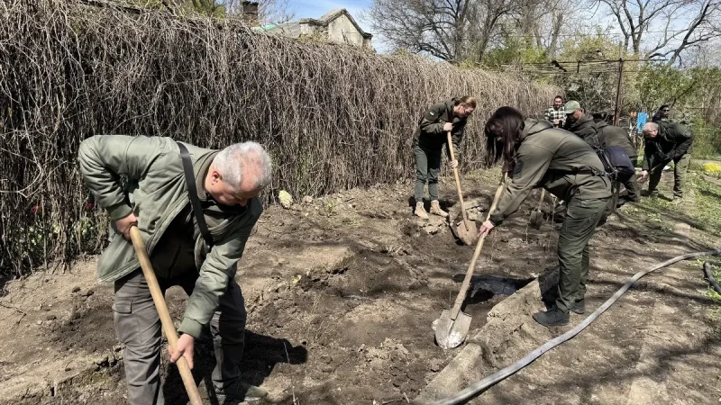Сотрудники Экоинспекции копают лунки для высадки саженцев дуба в парке Шевченко