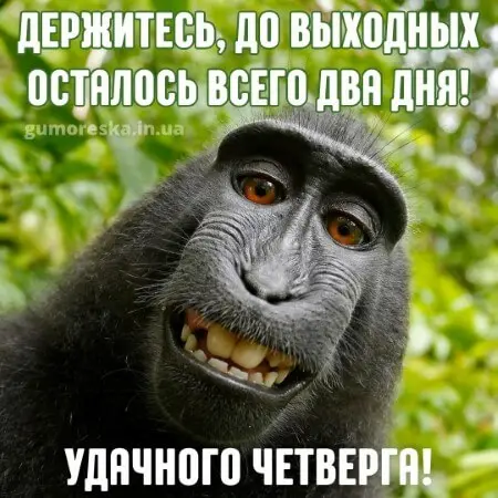 гумор про четвер
