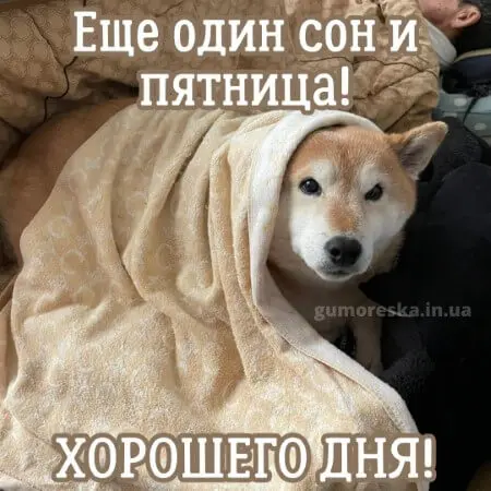 гумор про четвер