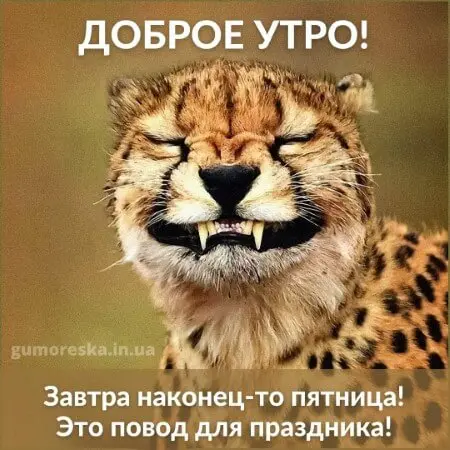 гумор про четвер