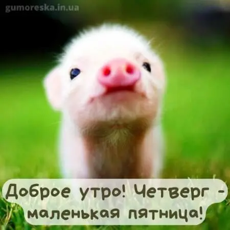 гумор про четвер
