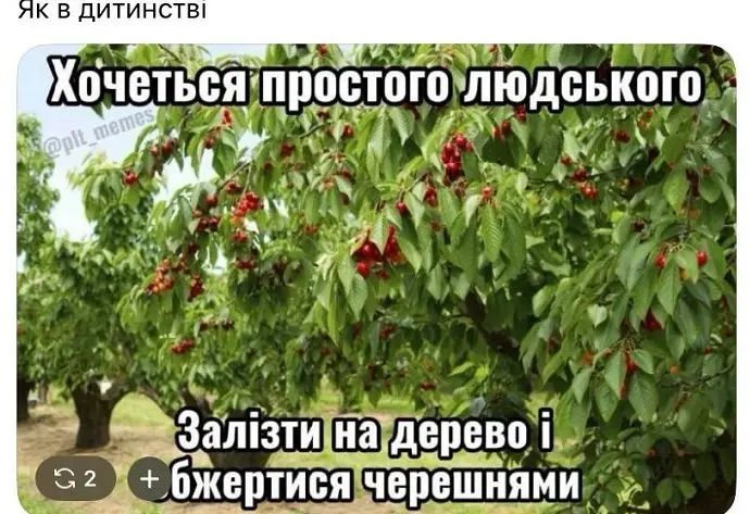 Сезон черешни