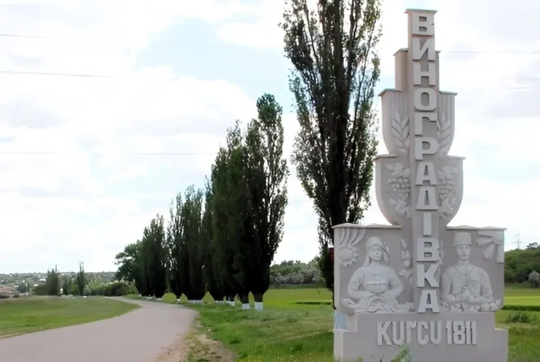 Дорога на Виноградівку