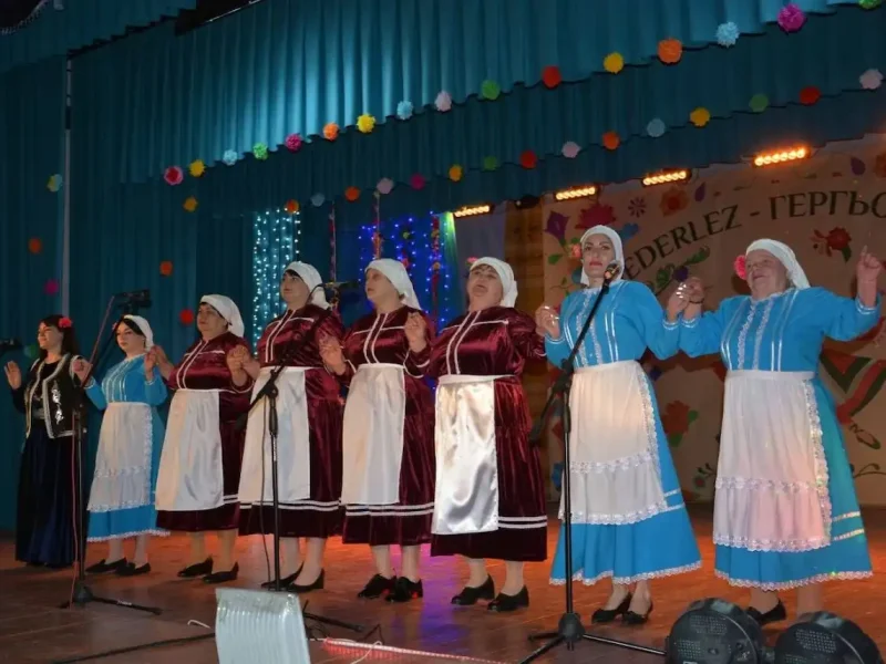 гагаузы