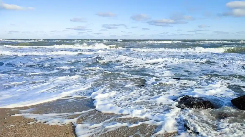 море