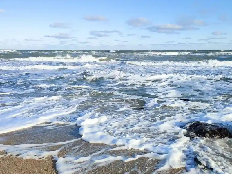море