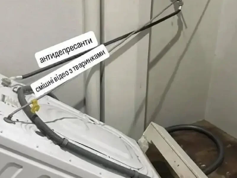 Юмор: наша нервная система
