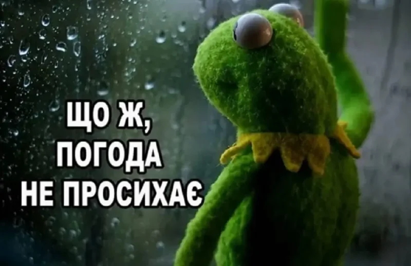 Дождливая погода