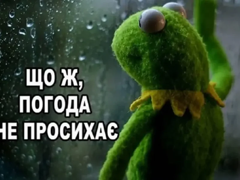 Дождливая погода