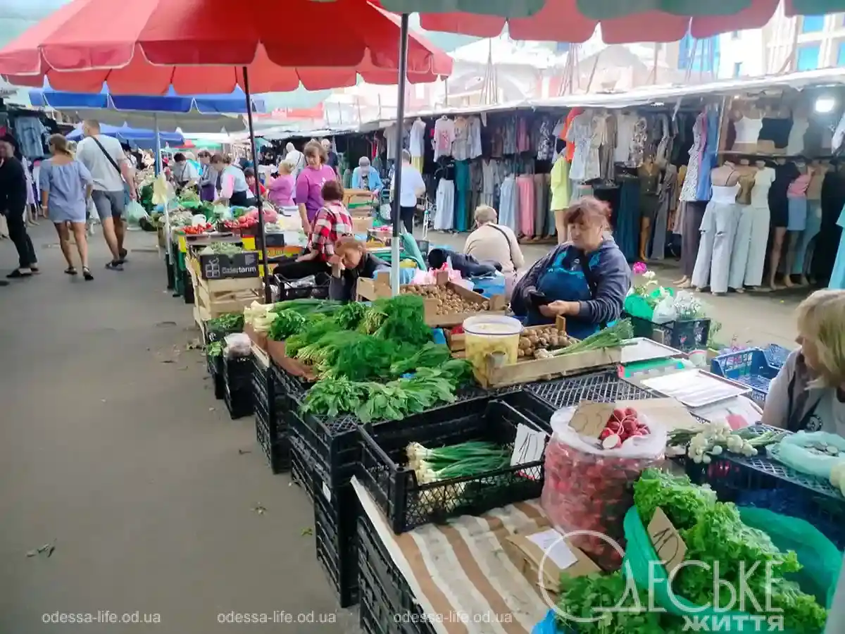 Привоз 29 травня