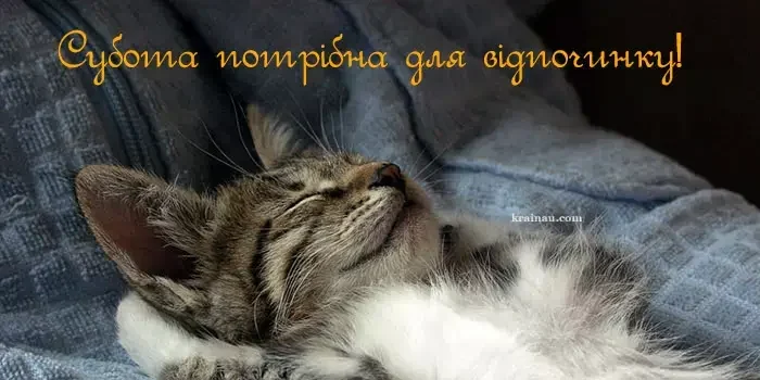 меми про суботу