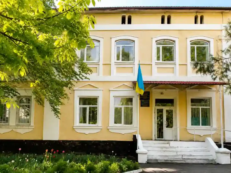 Будинок Гагаріних в Окнах