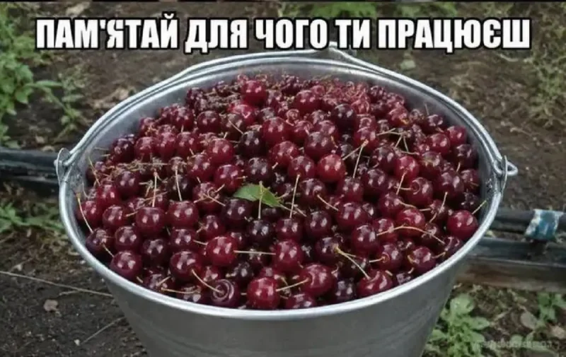 Главный стимул для работы