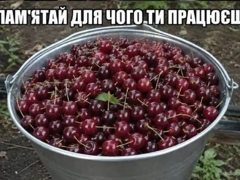 Главный стимул для работы
