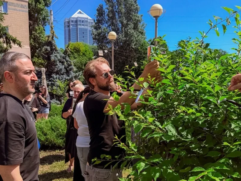 В Одесі прикрасили Дерева пам’яті на честь загиблих і зниклих безвісти захисників